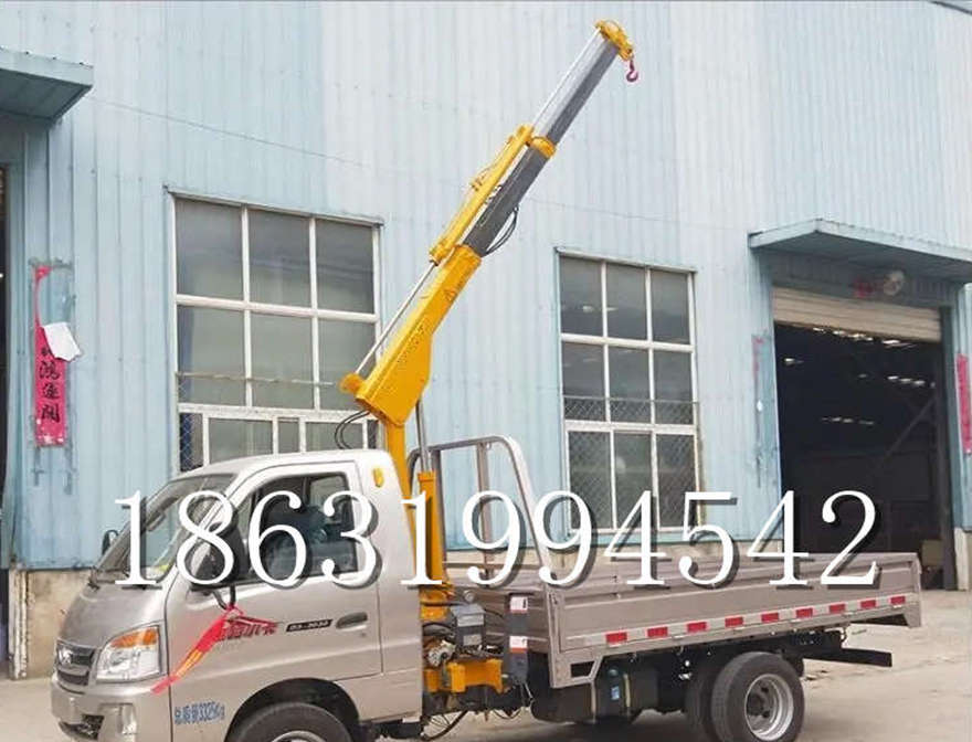 水里乡车载吊机12/24V车载吊仓库小型出租车载吊机可拆卸车载吊机车载220v移动吊机